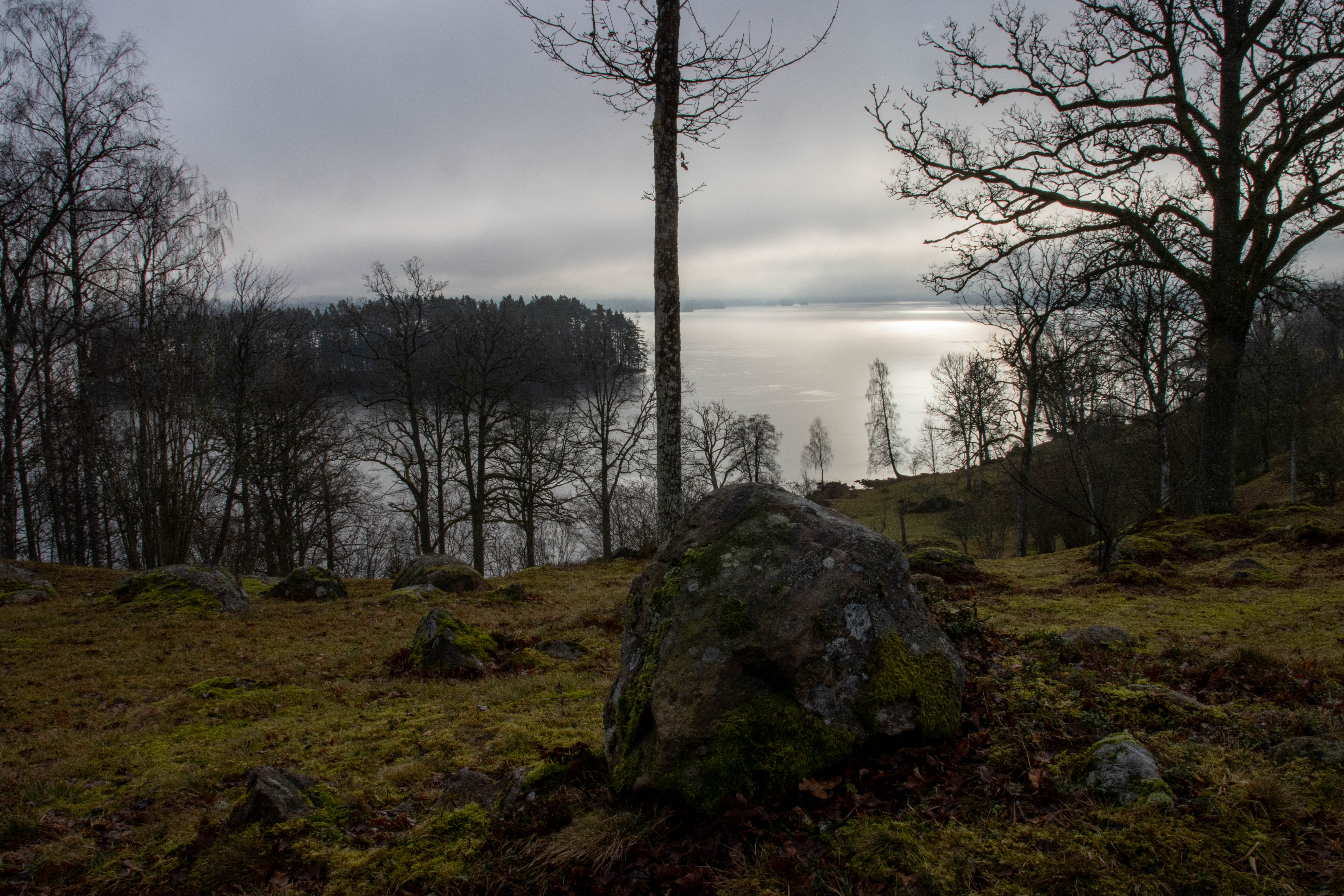 Foto av Naturreservatet Högakull