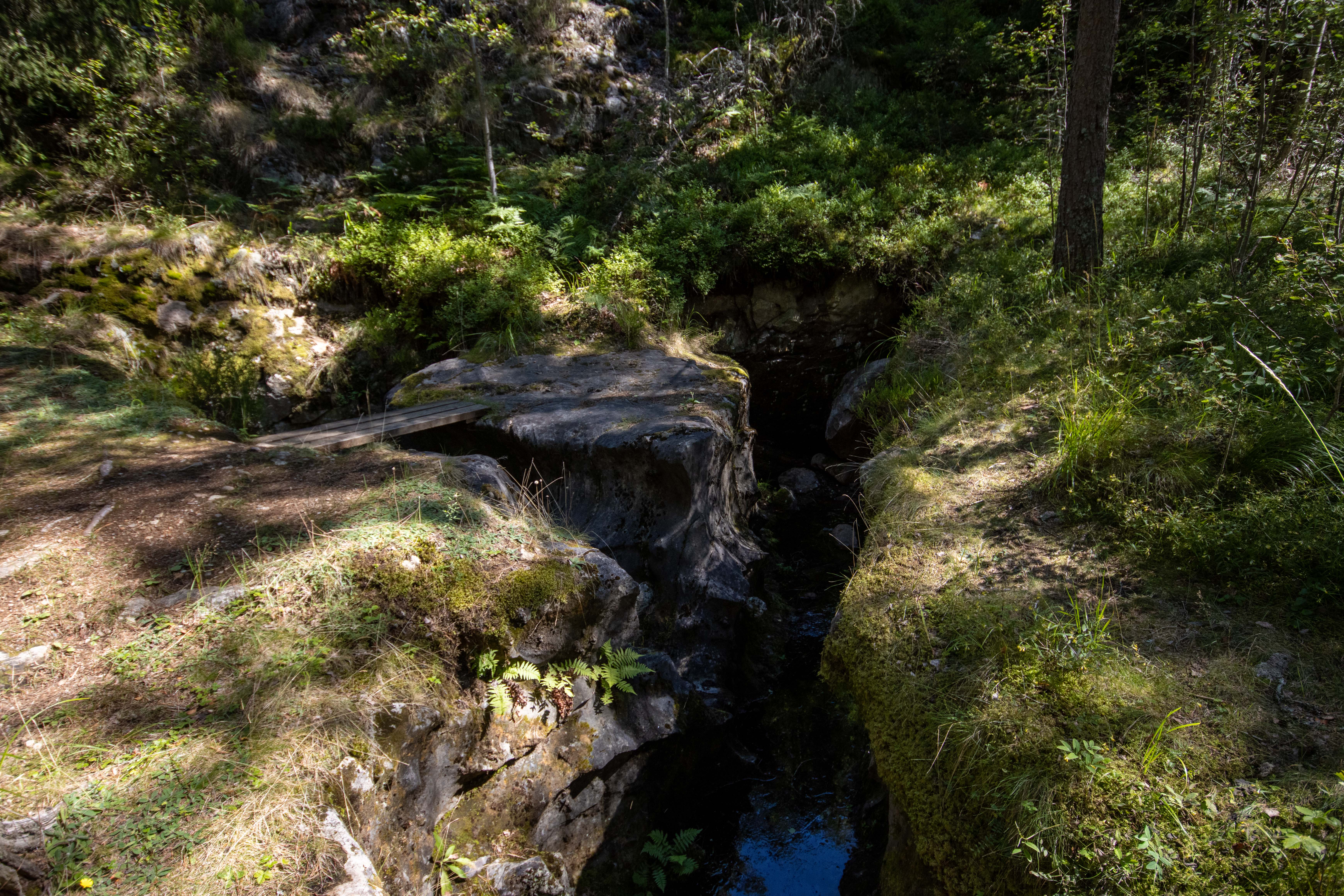 Foto av Naturreservatet Skogsbyås