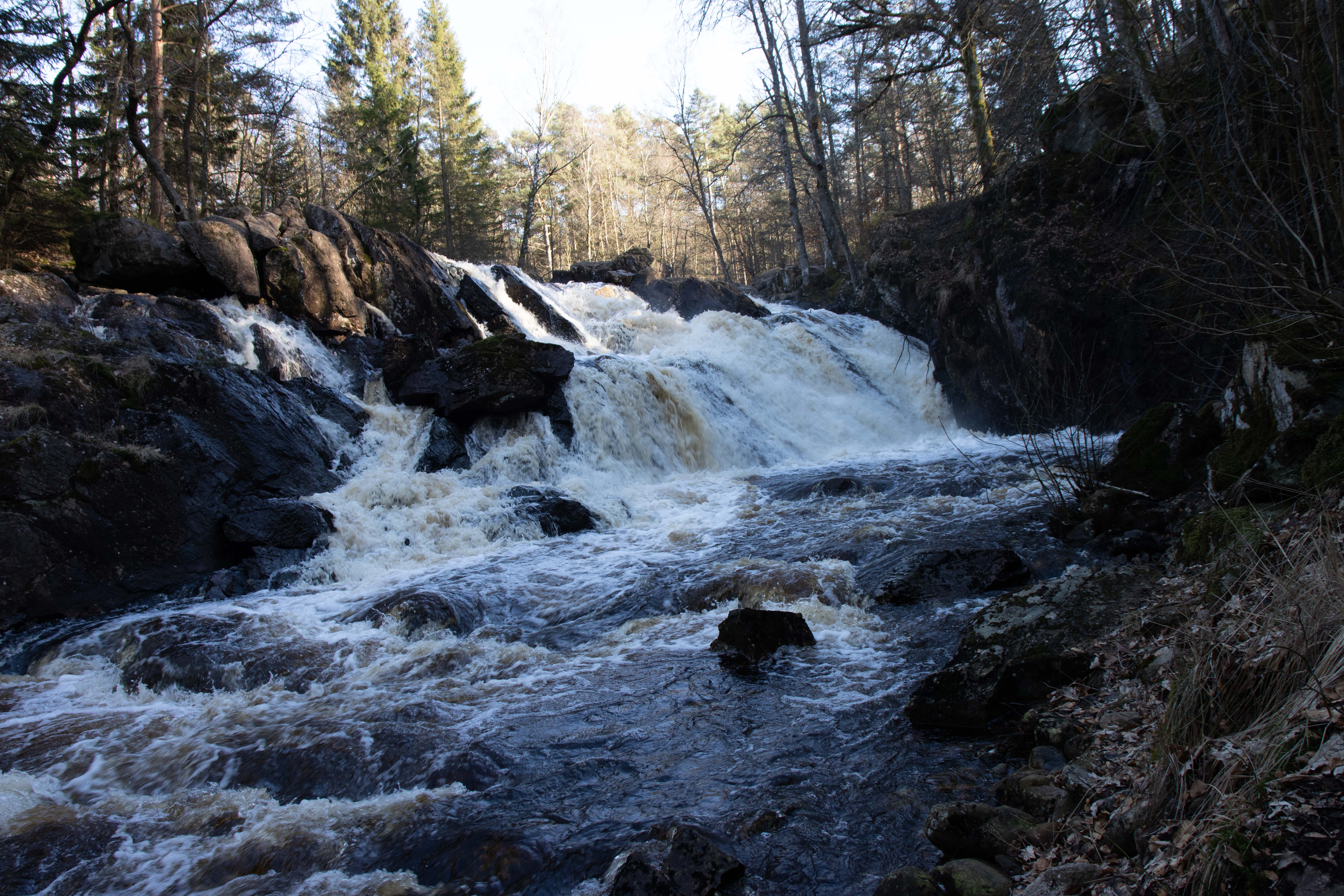 Foto av Naturreservatet Danska fall