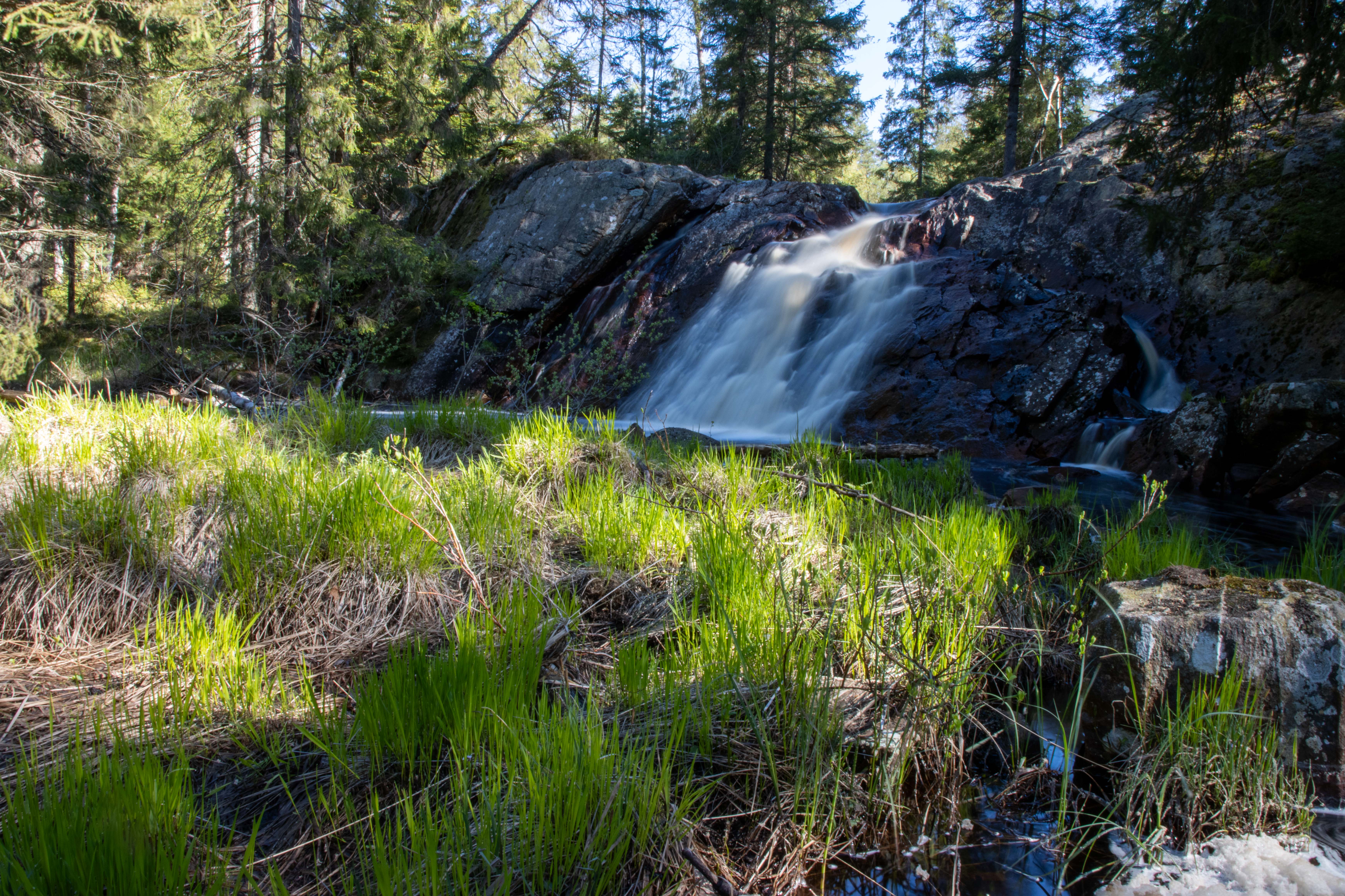 Foto av Naturreservatet Hatten