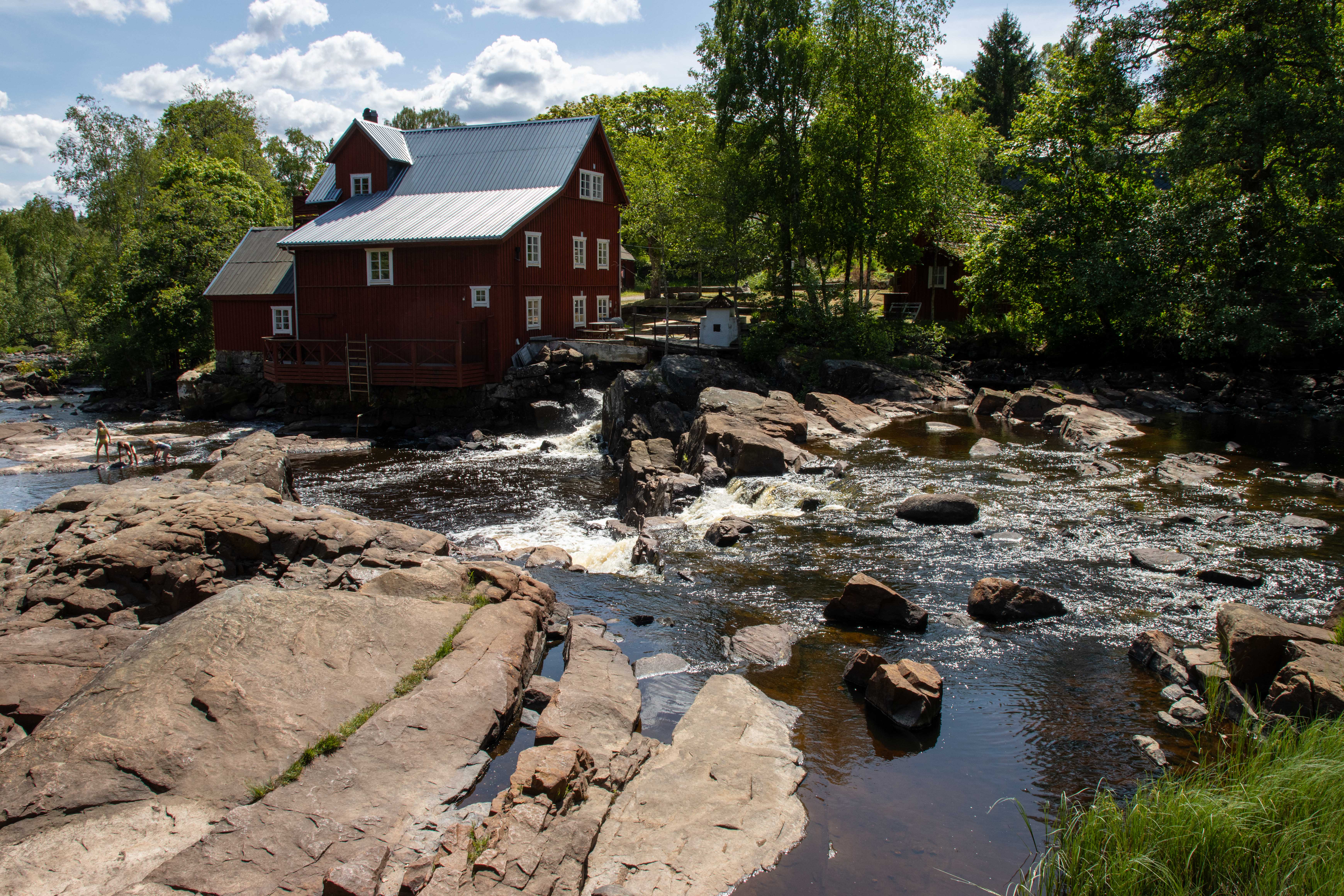 Foto av Naturreservatet Prästaskogen