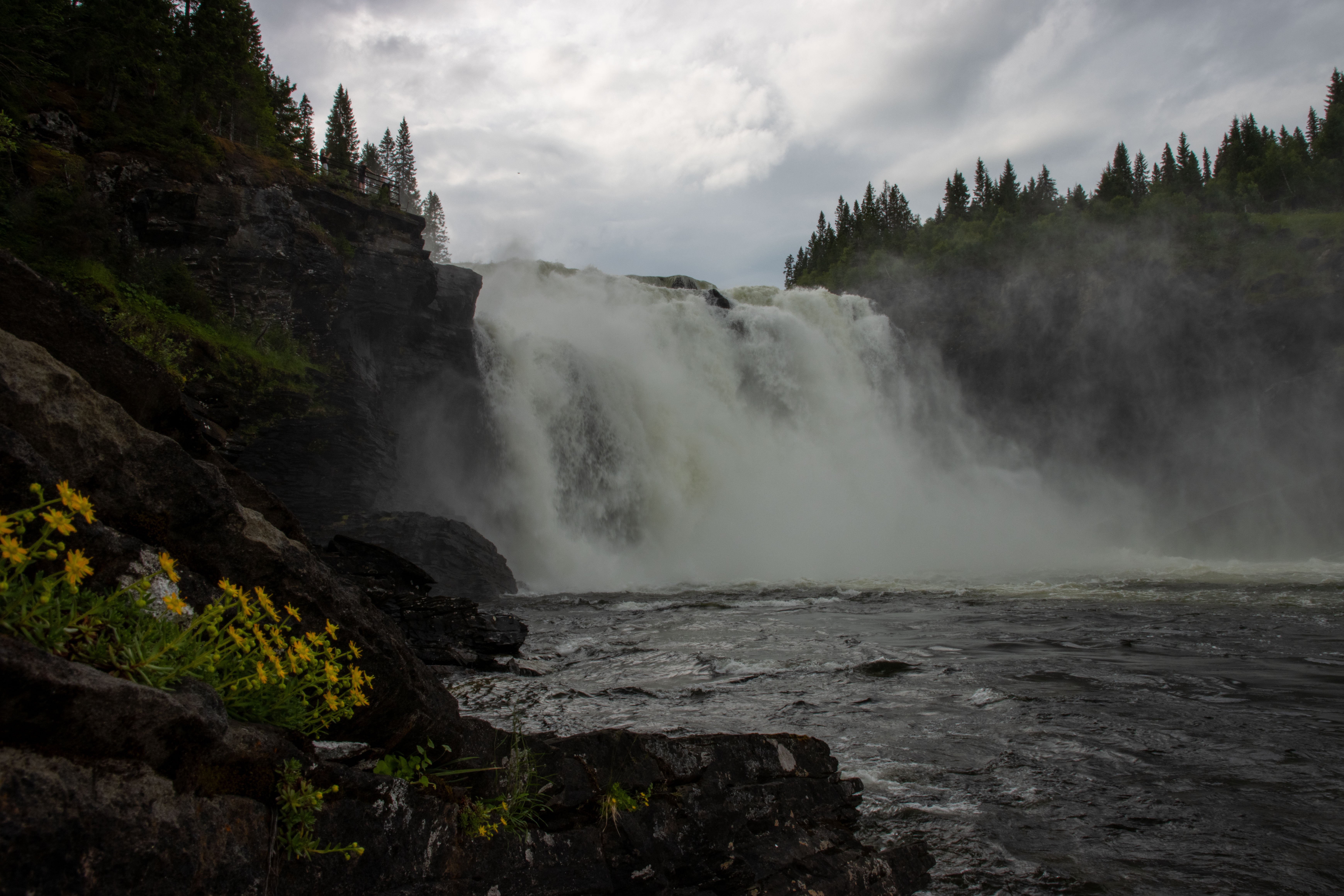 Foto av Naturreservatet Tännforsen