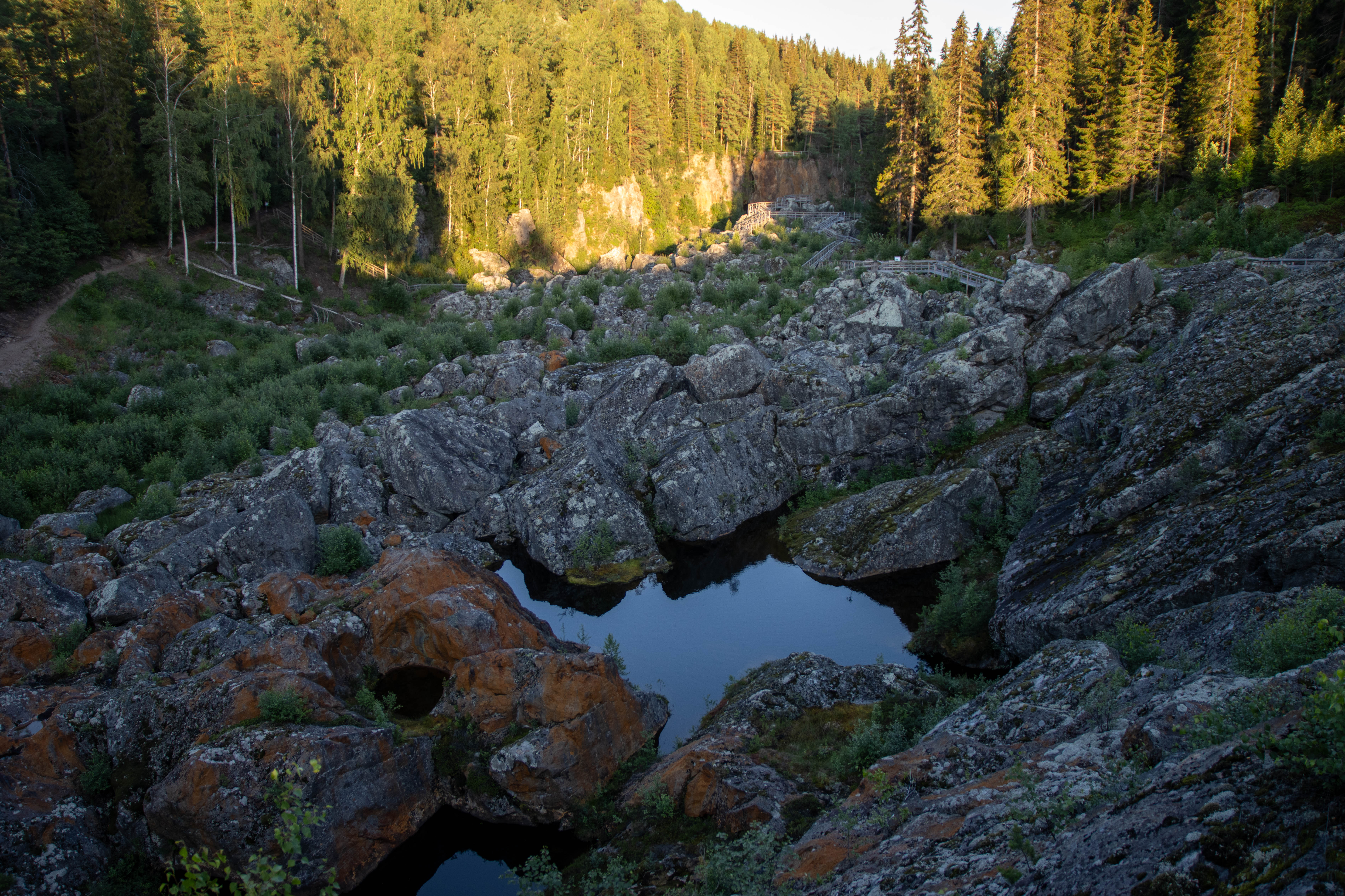 Foto av Naturreservatet Döda fallet