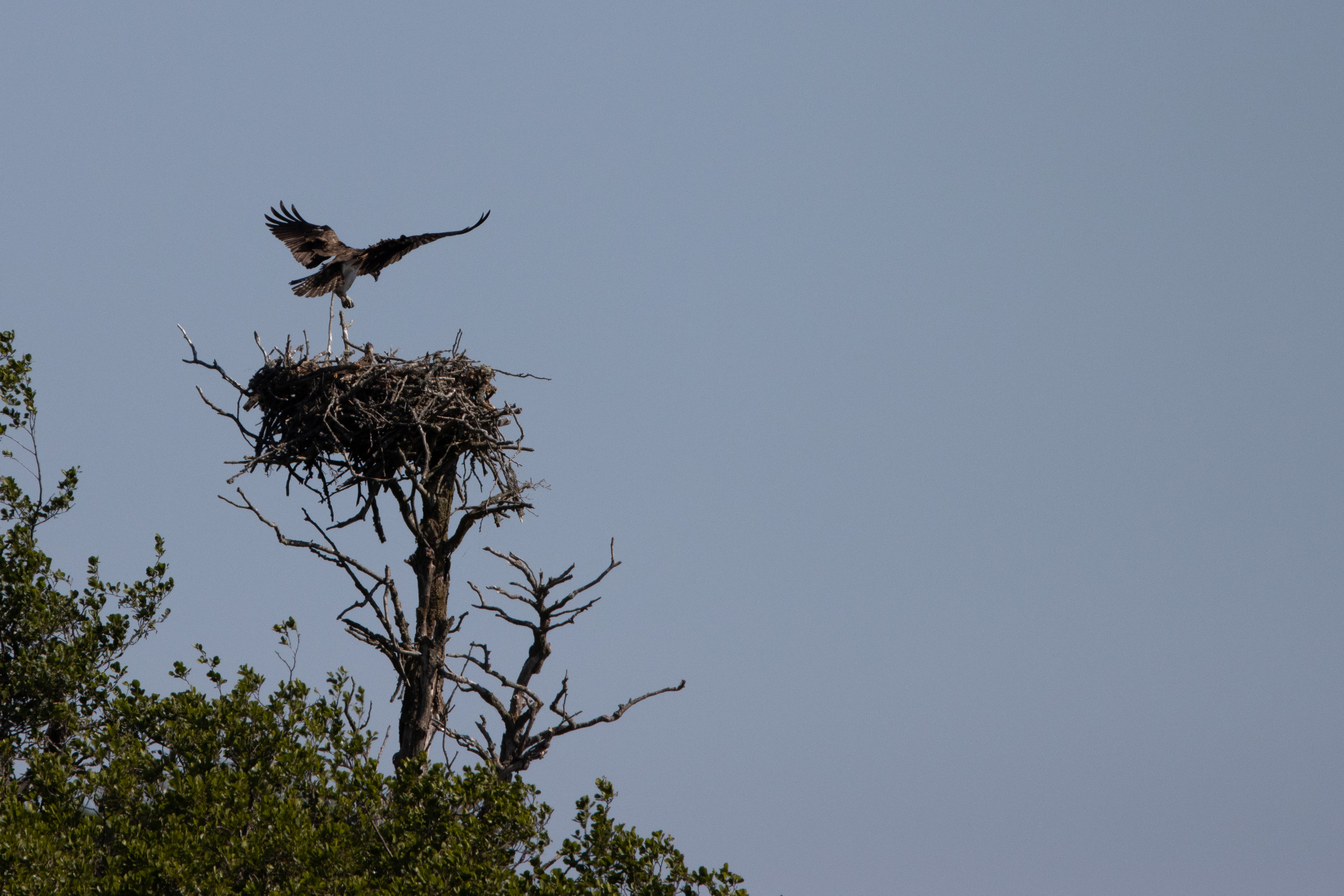 Foto av Naturreservatet Notteryd