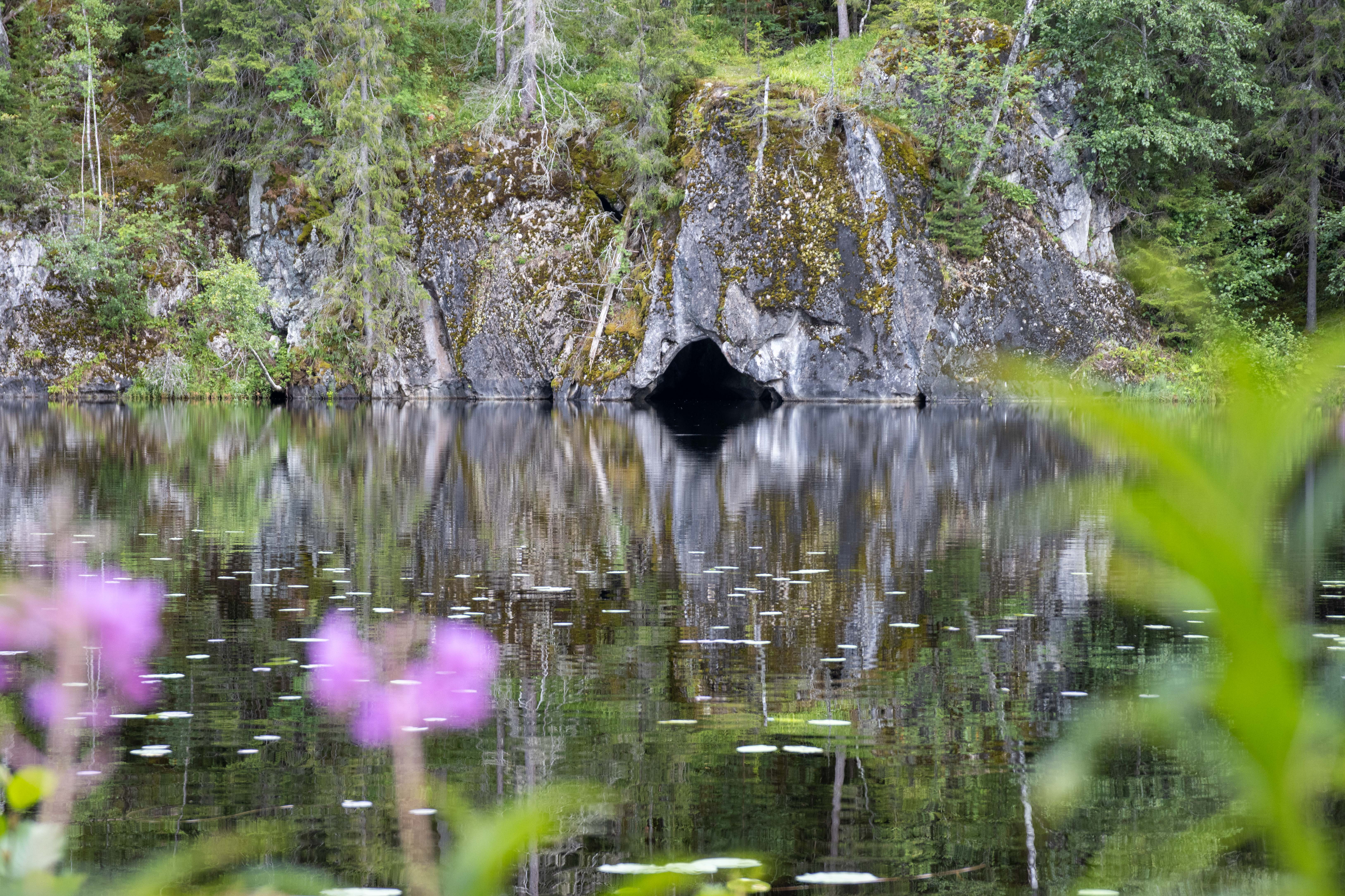 Foto av Naturreservatet Jätturn