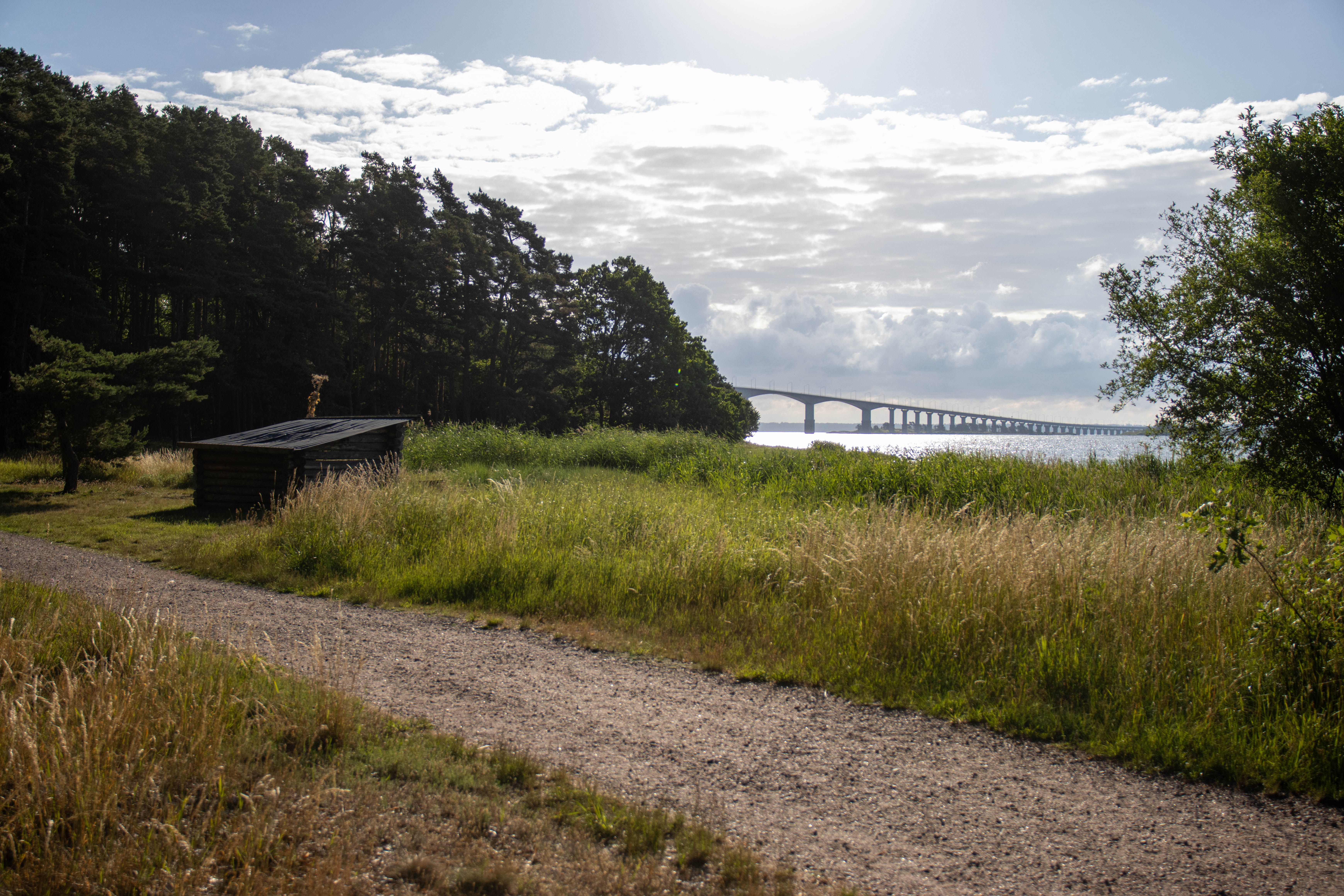 Foto av Naturreservatet Svinö