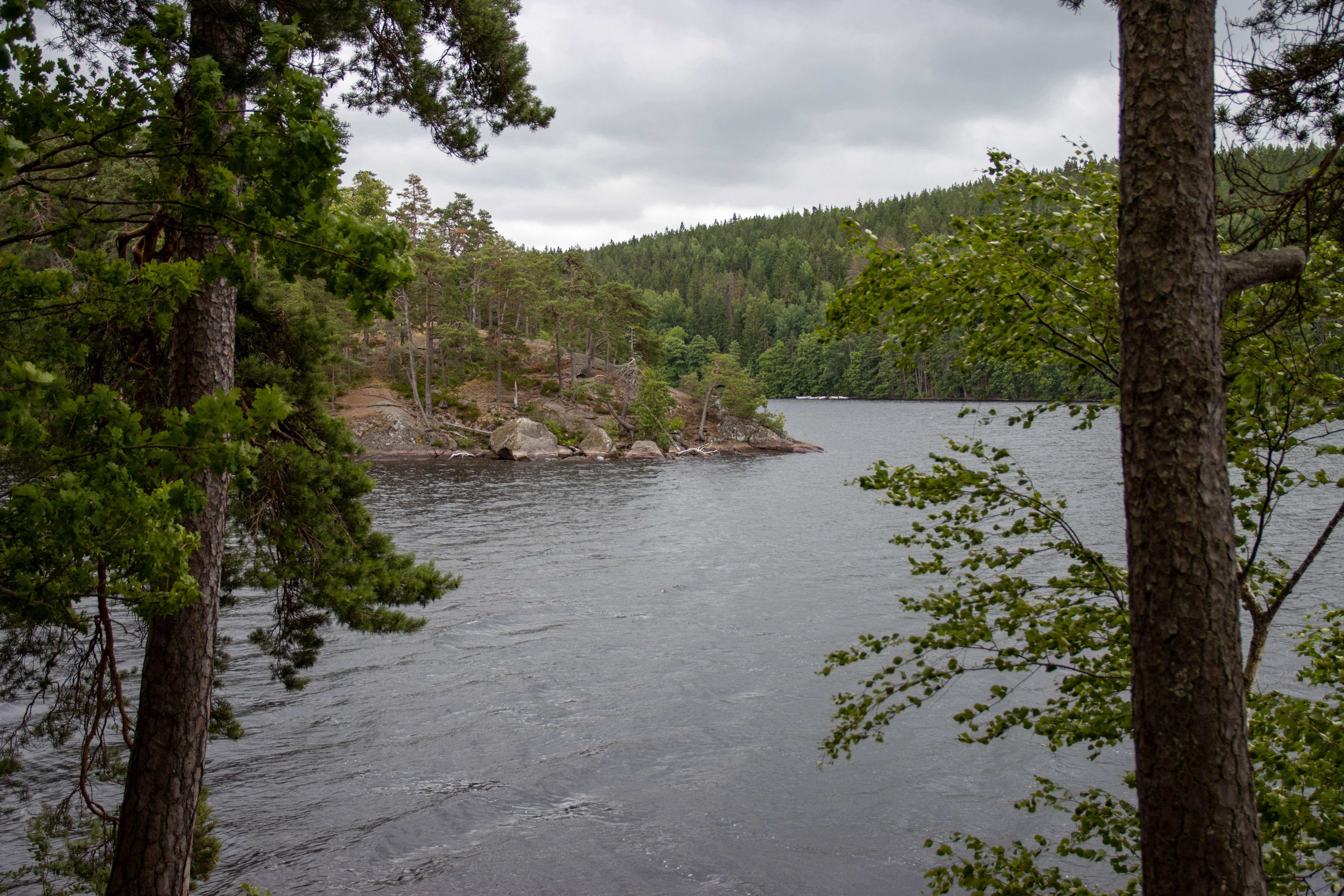 Foto av Naturreservatet Ågelsjön