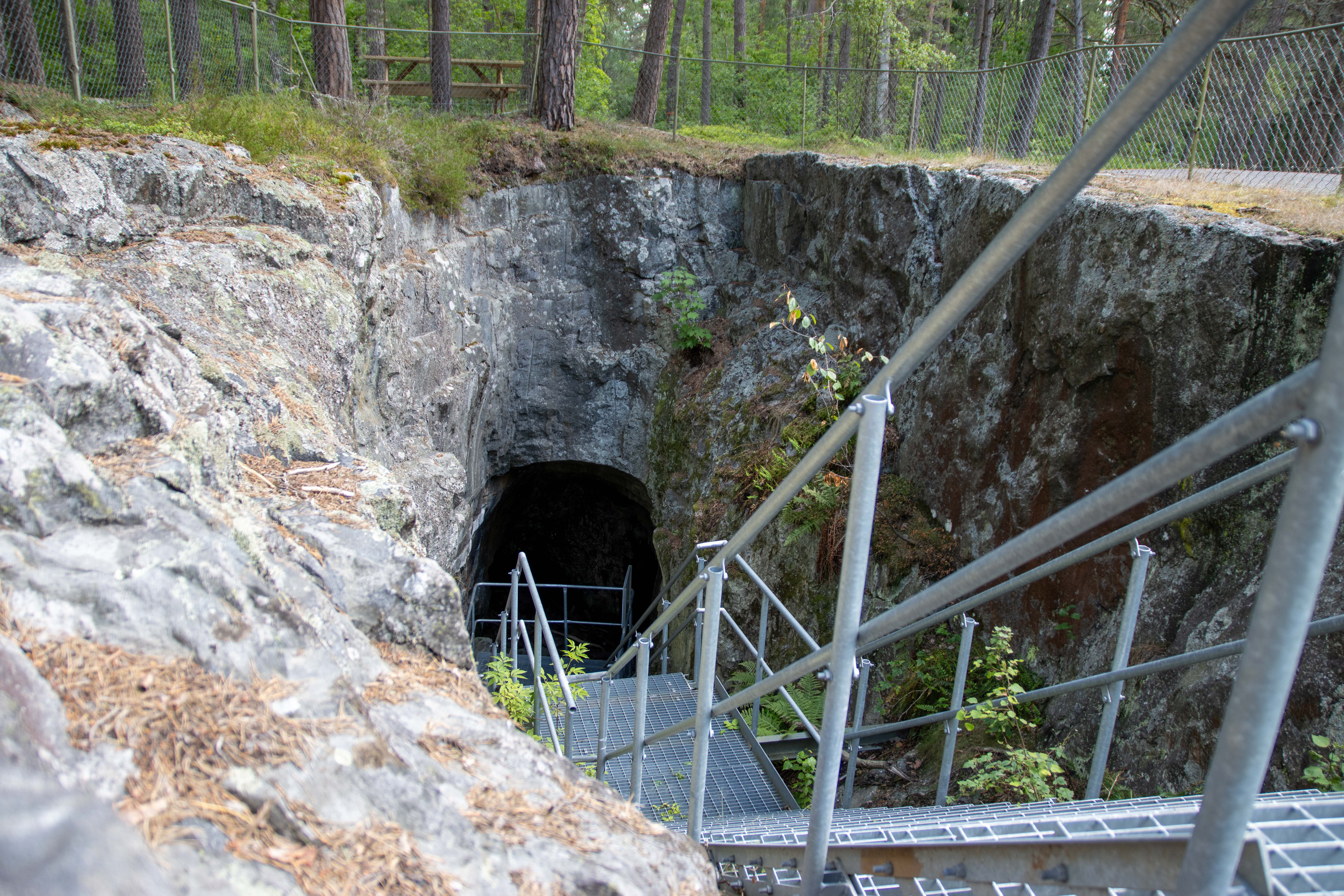 Foto av Naturreservatet Hållet-Marieberg-Stenbro