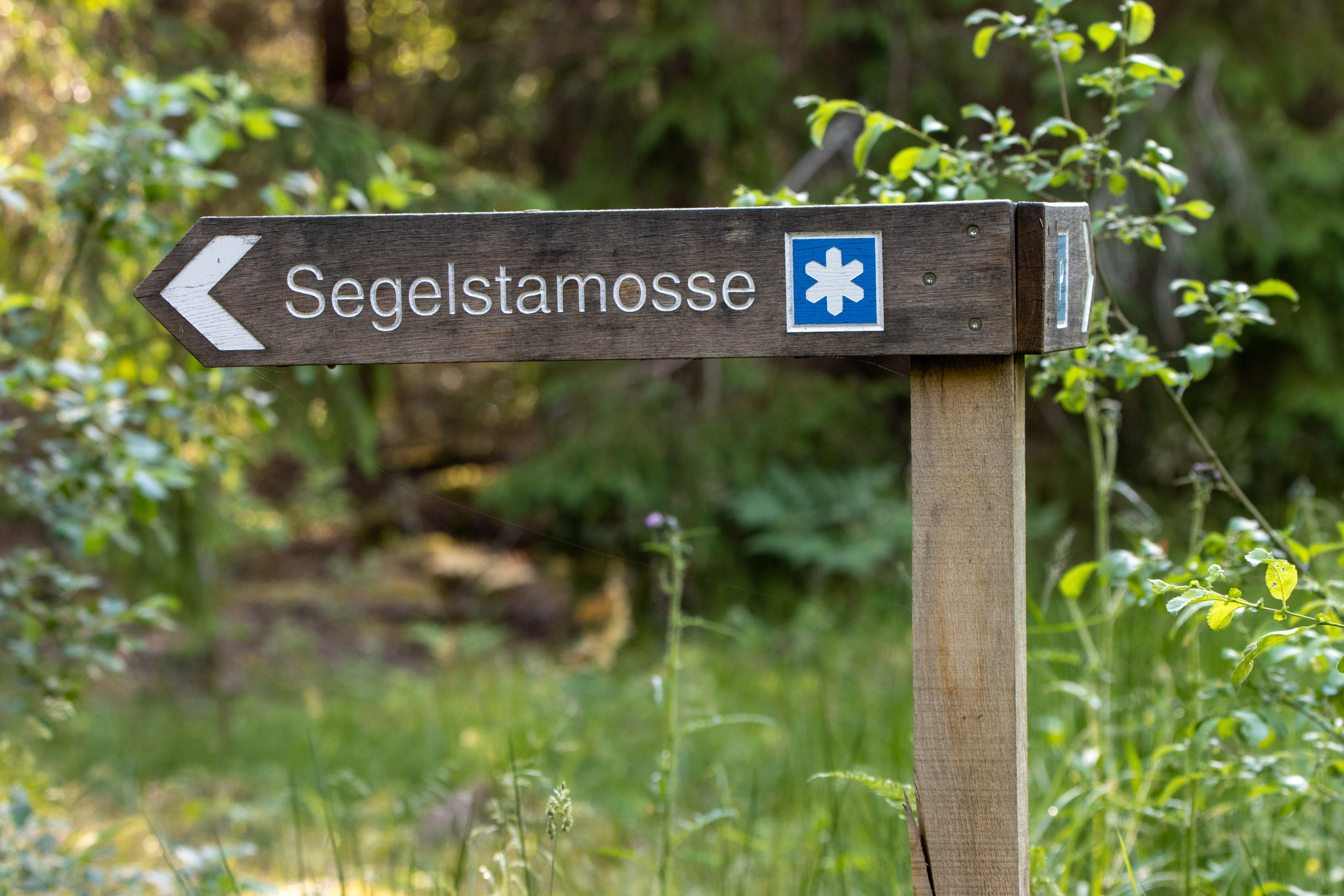 Foto av Naturreservatet Segelstamosse