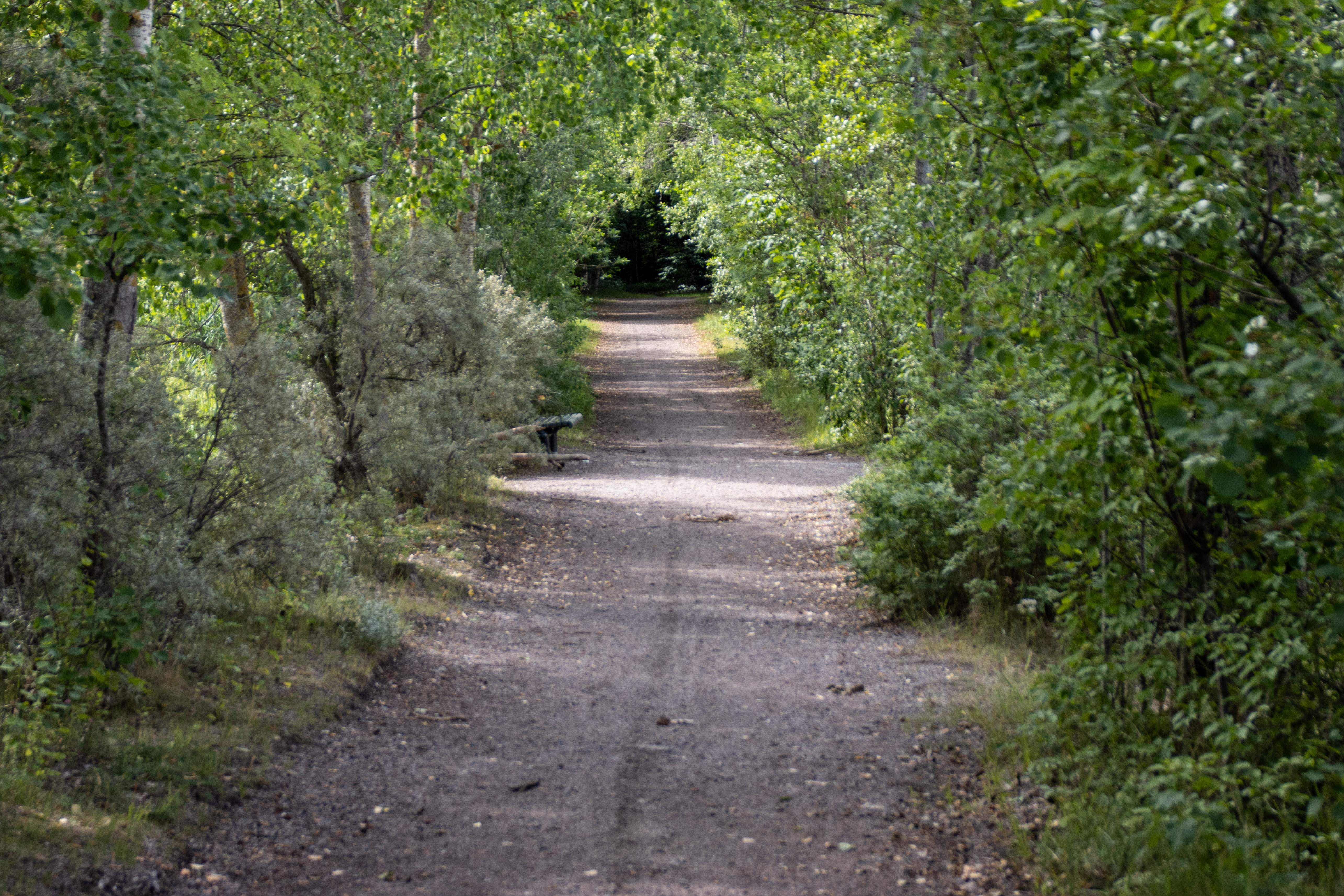 Foto av Naturreservatet T-udden