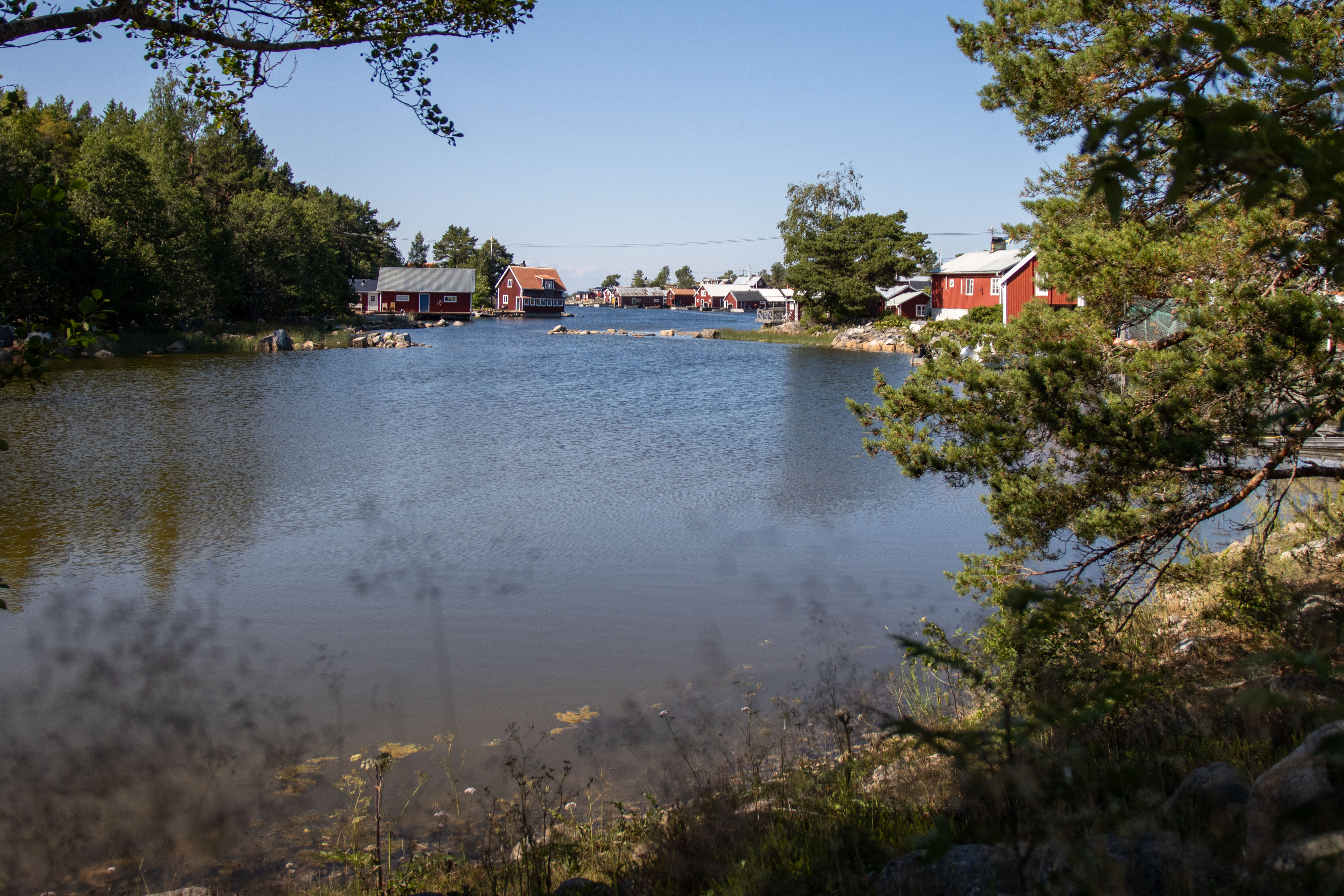 Foto av Naturreservatet Kuggörarnas domänreservat