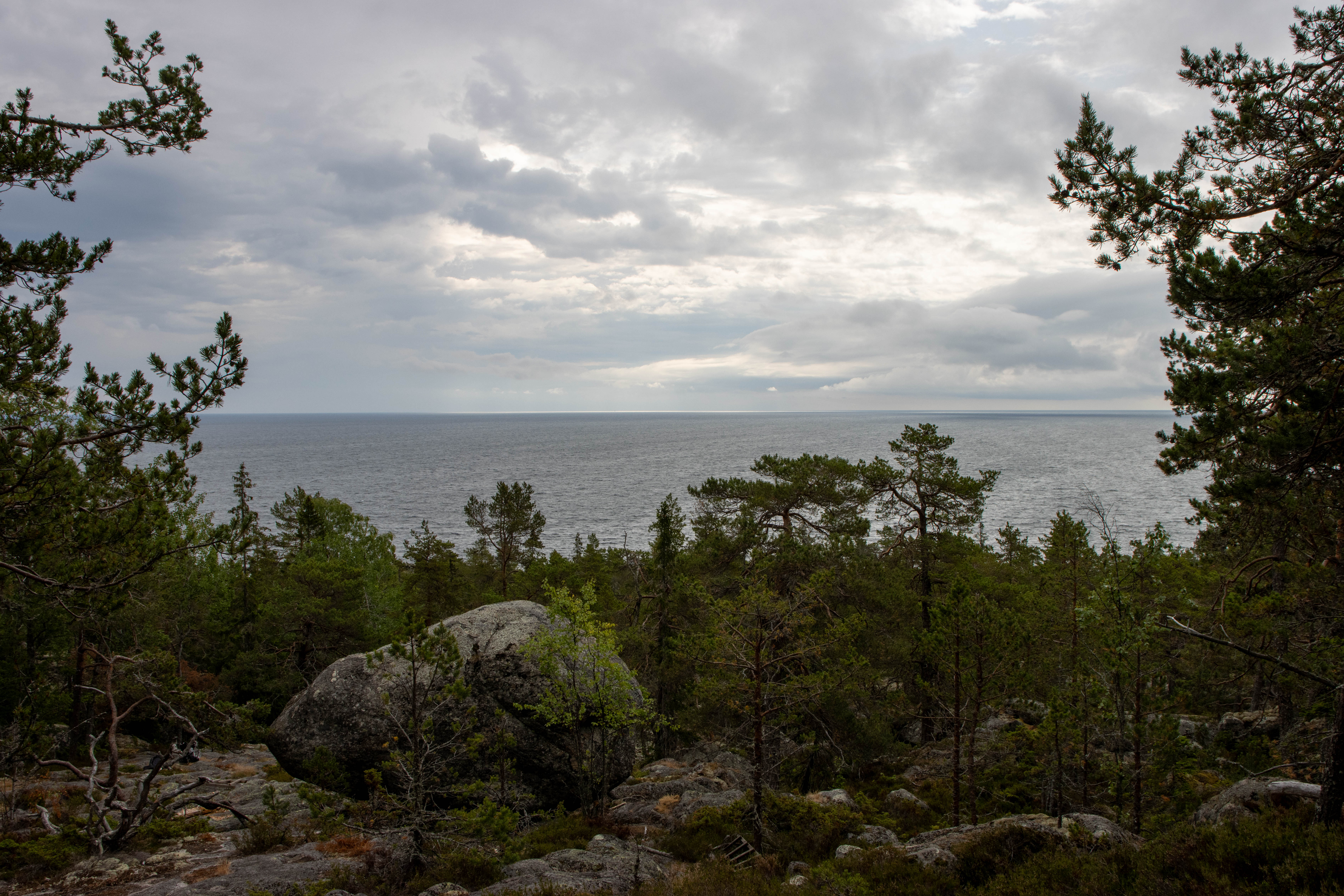 Foto av Naturreservatet Smitingen-Härnöklubb