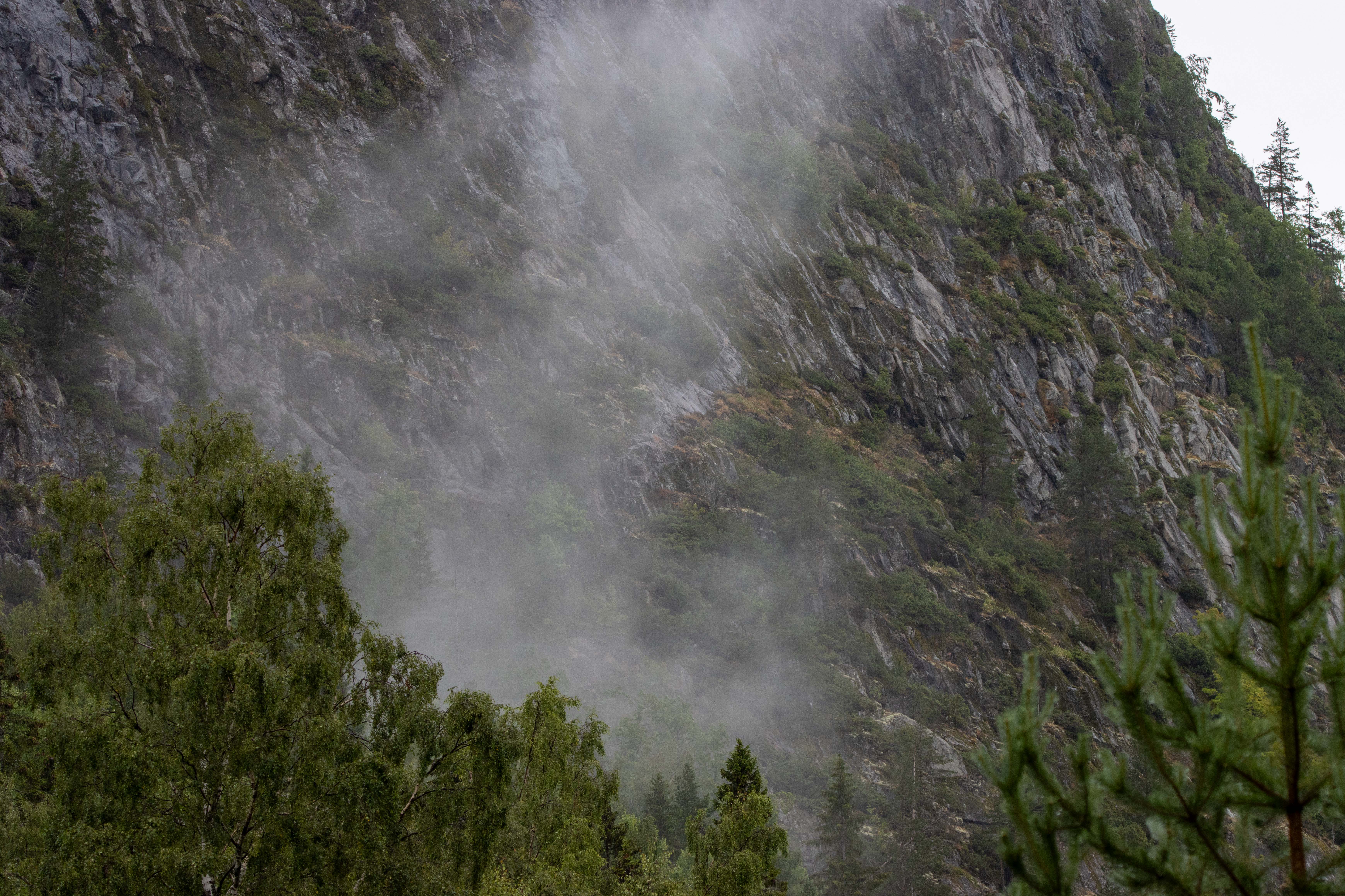 Foto av Naturreservatet Skuleberget