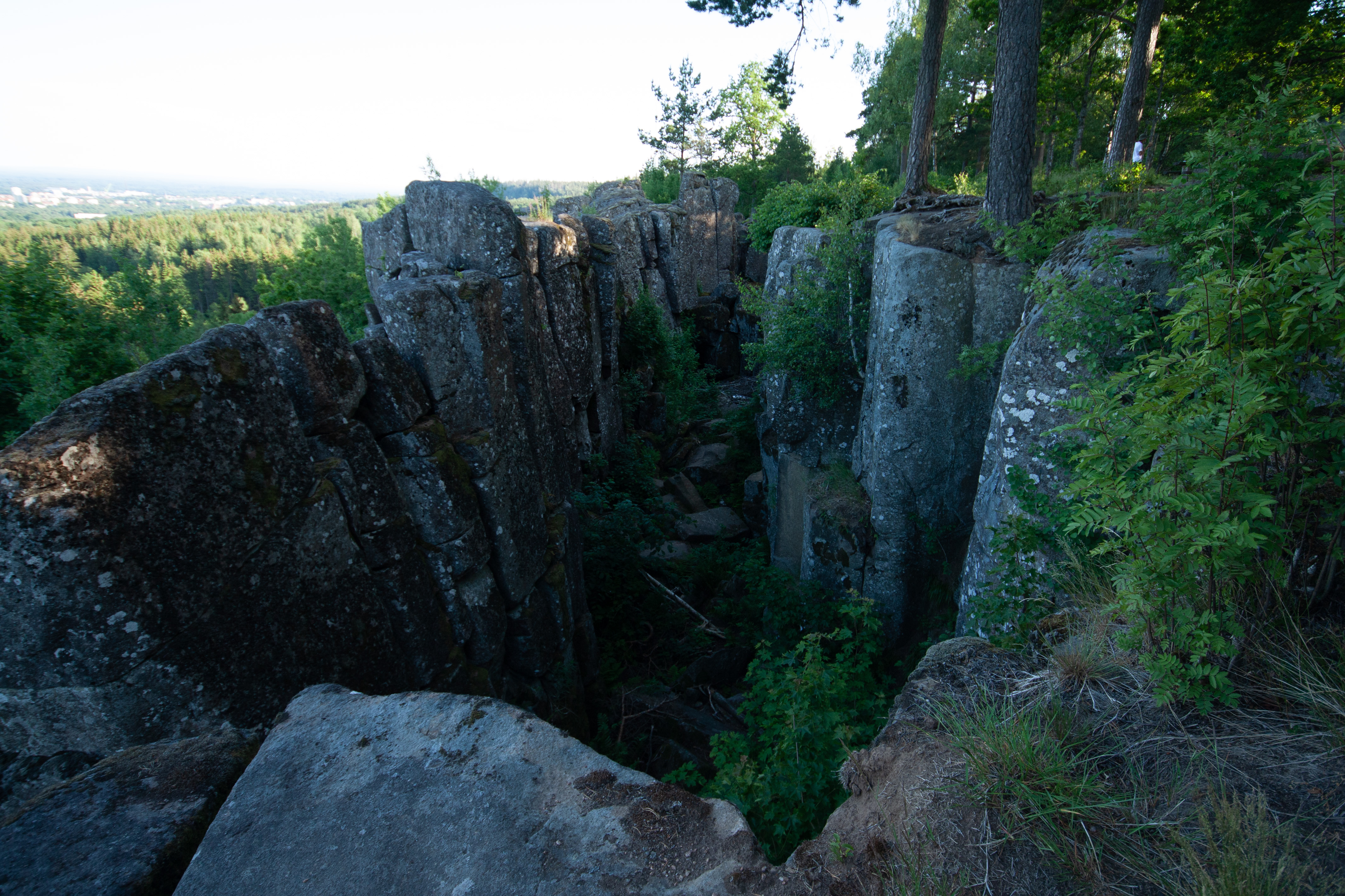 Foto av Naturreservatet Rånna-Ryd