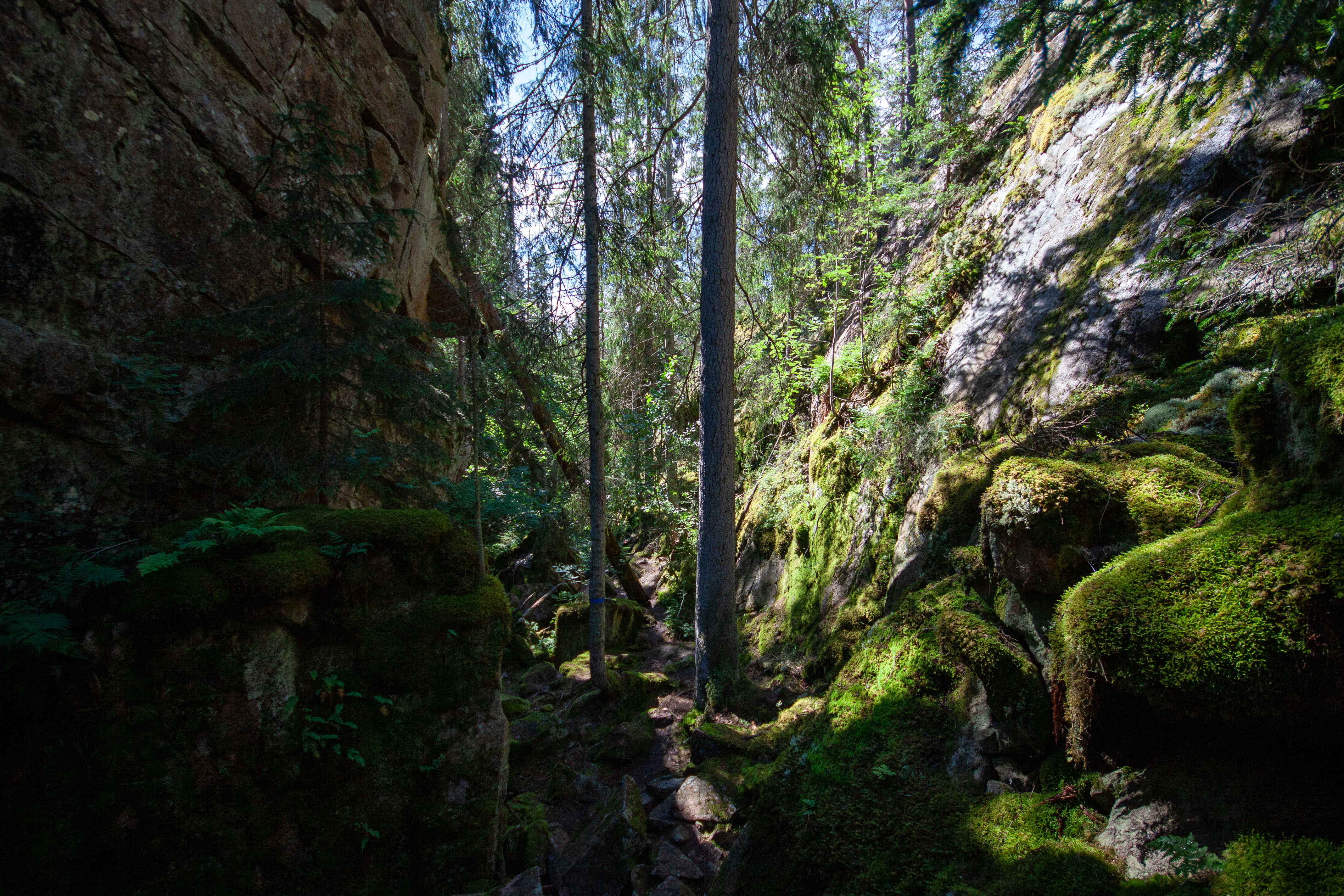 Foto av Naturreservatet Stuverydsbäcken